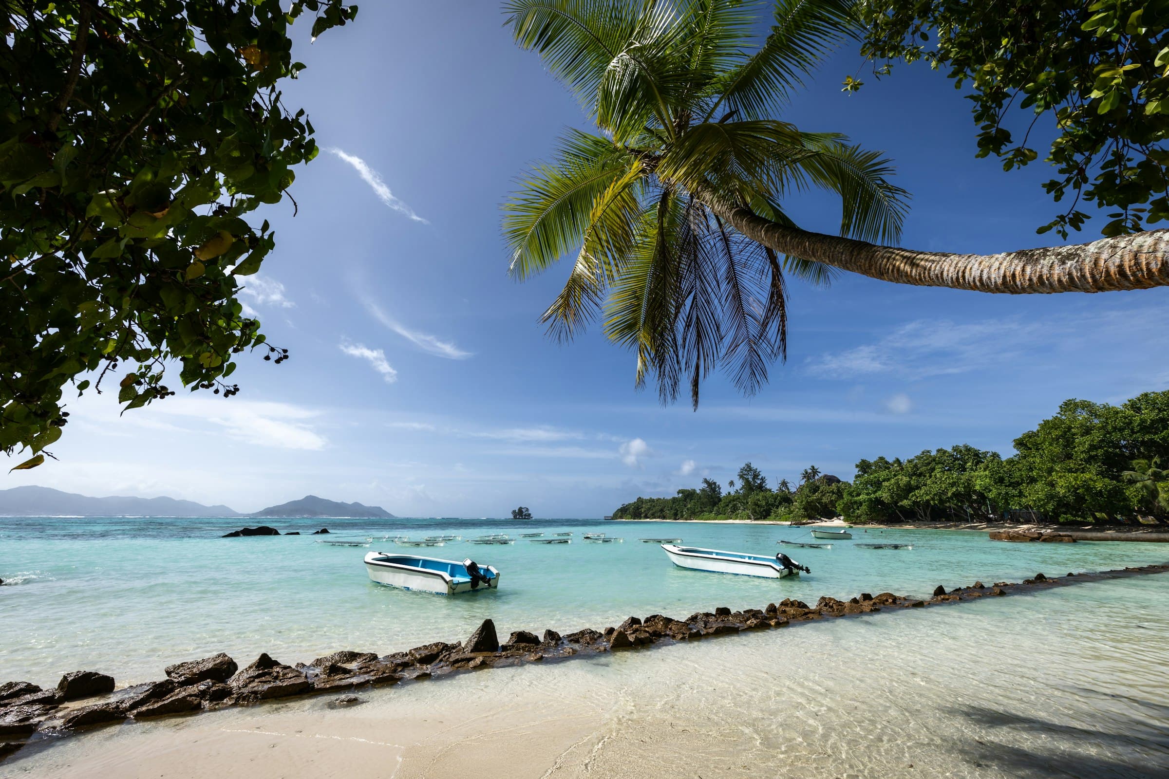 Traditional wooden boats resting on a white sand beach fringed by palm trees, tropical Indian Ocean island