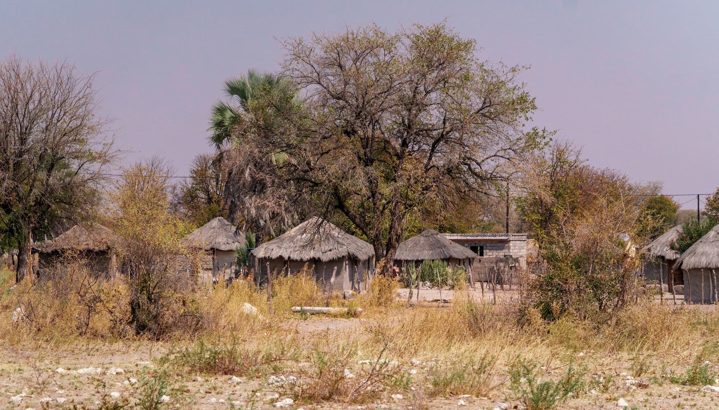 Thatched-roof safari lodge huts set in a dry, grassy landscape
