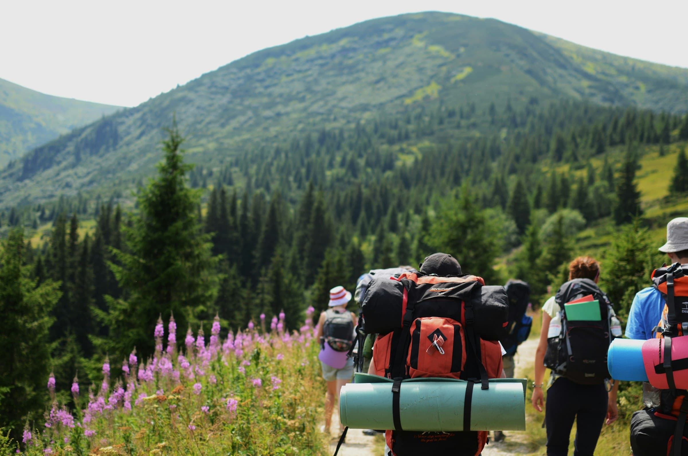 A group of hikers with backpacks walking along a hilltop trail