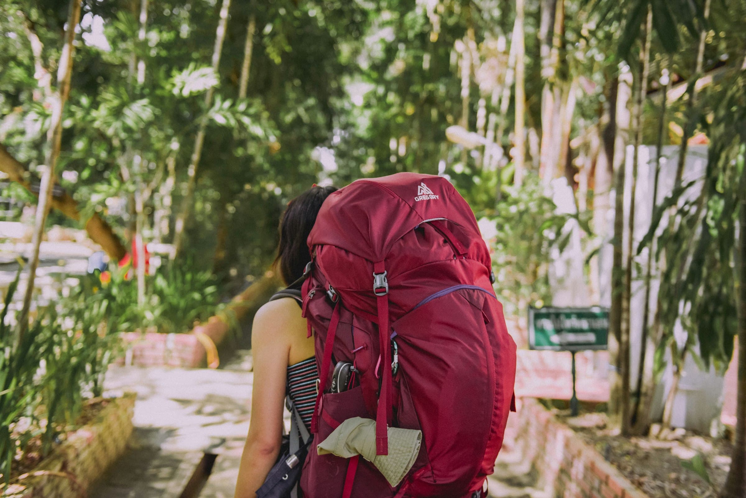 A hiker with a red backpack, seen from behind, standing on a ridge path surrounded by tall trees