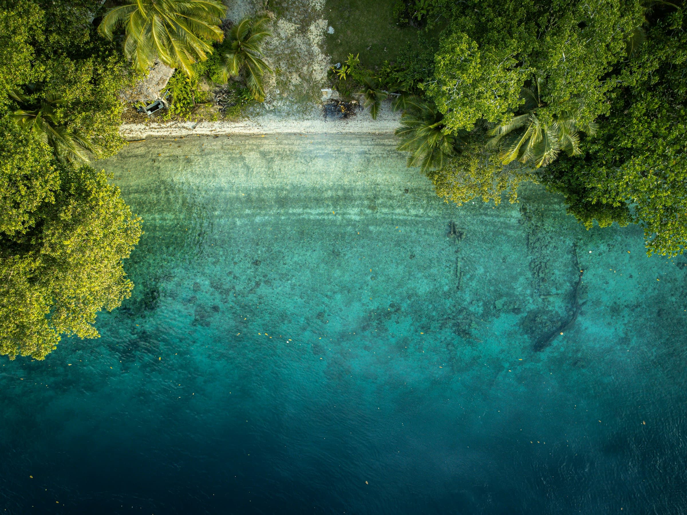 Aerial view of a tropical coastline with clear turquoise water and pale sand